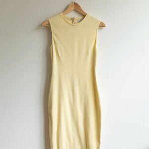 Aritzia Sleek Dress Babaton Lemongrass